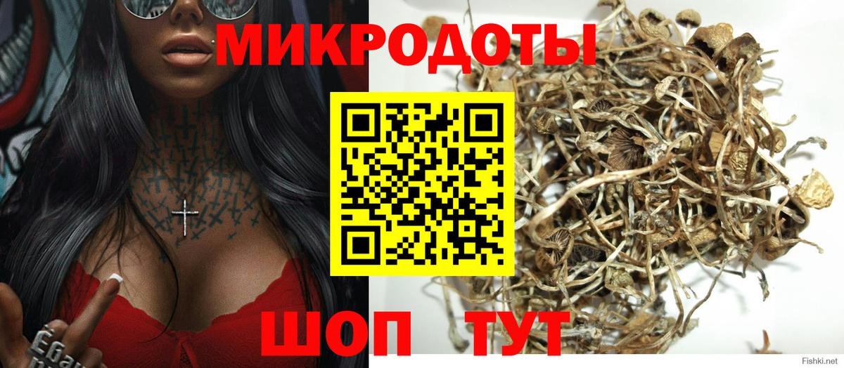 Галлюциногенные грибы Psilocybe  Вход с VPN  Стерлитамак 