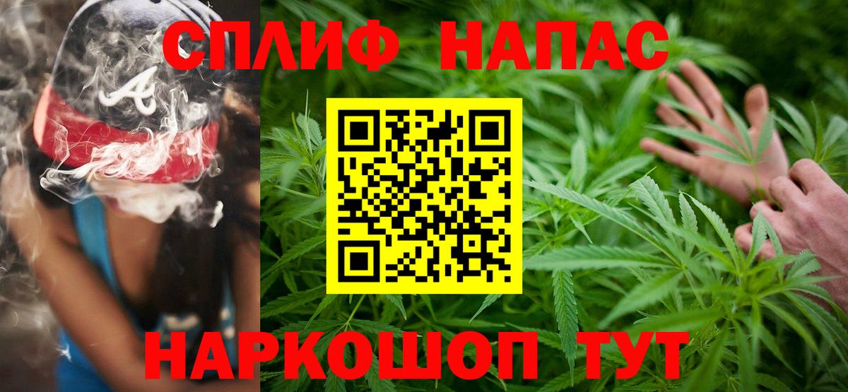 МАРИХУАНА сатива Стерлитамак